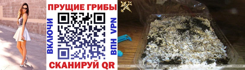 Псилоцибиновые грибы Psilocybine cubensis  где продают наркотики  Зеленокумск 
