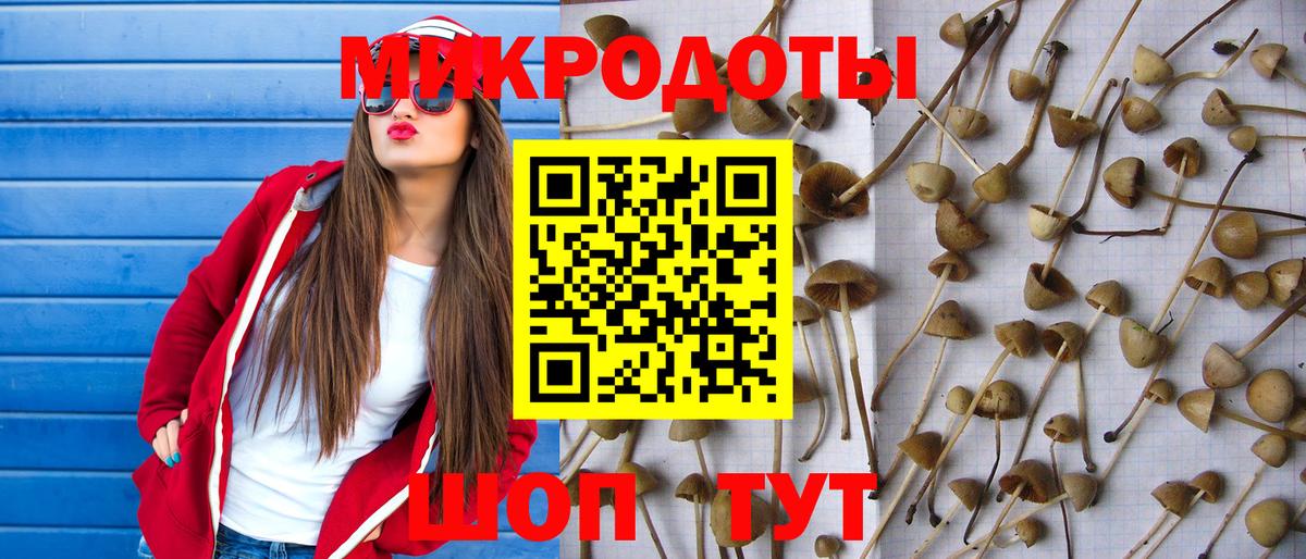 Псилоцибиновые грибы мухоморы Зеленокумск
